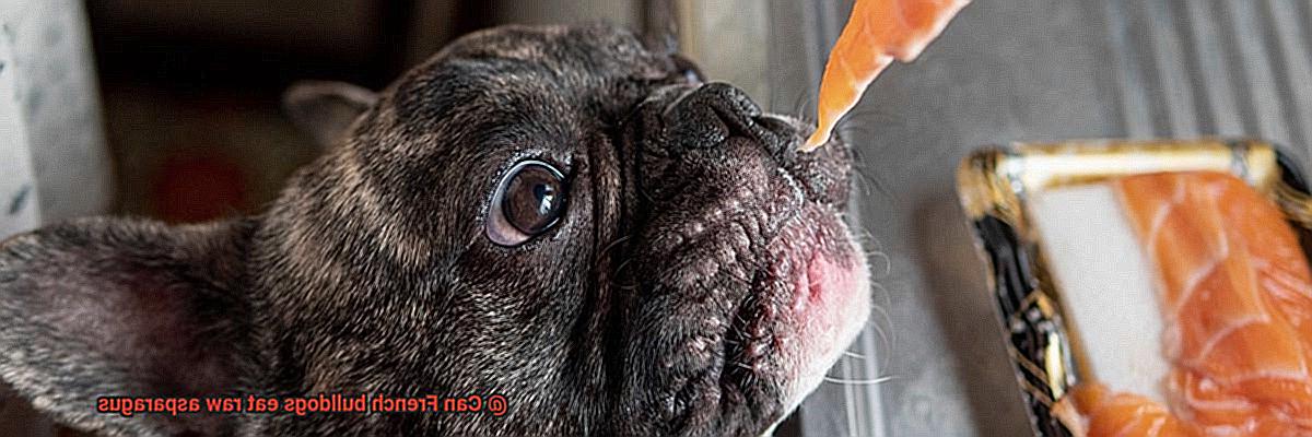Can French bulldogs eat raw asparagus-2
