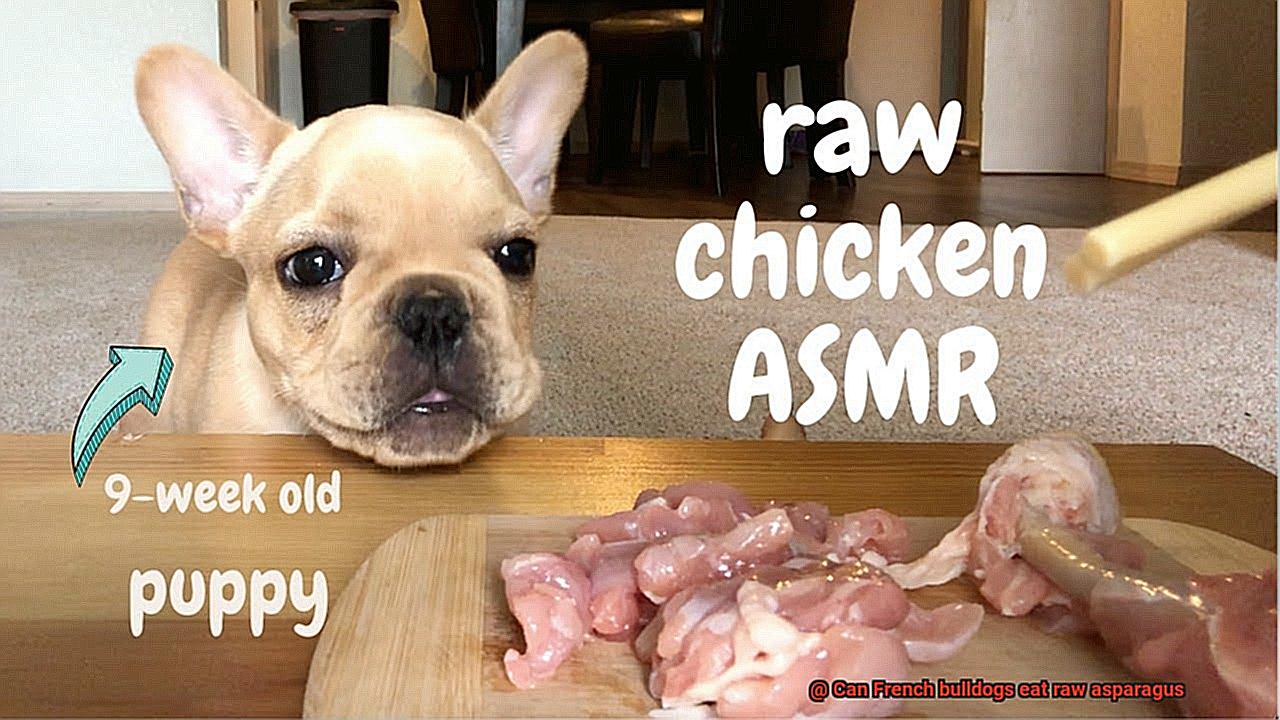 Can French bulldogs eat raw asparagus-6
