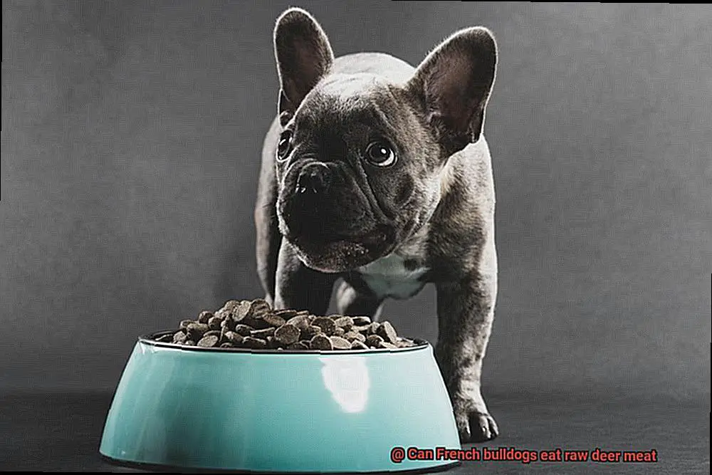 Can French bulldogs eat raw deer meat-5
