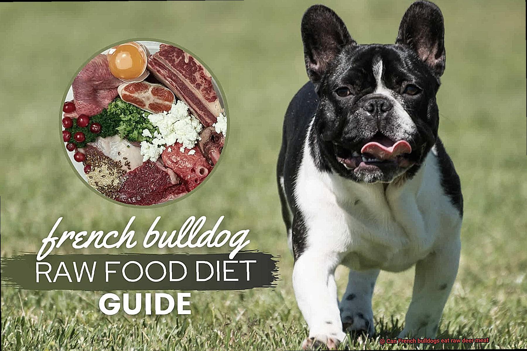 Can French bulldogs eat raw deer meat-3