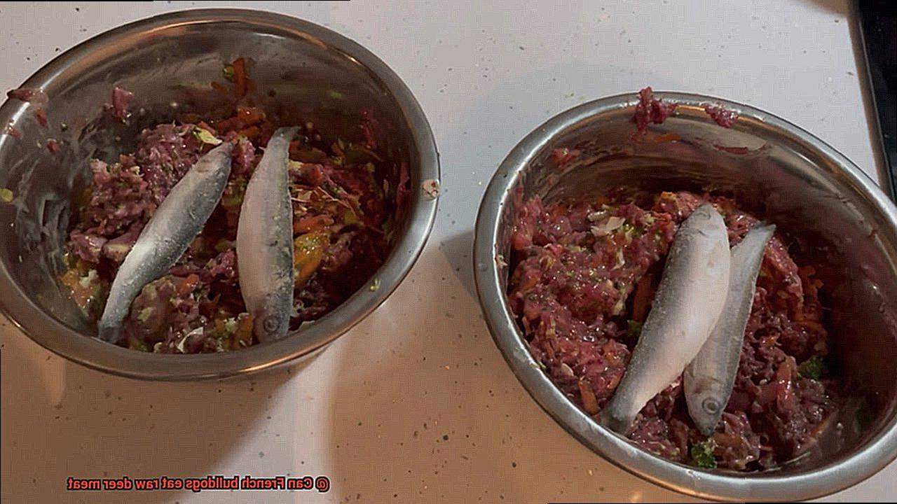 Can French bulldogs eat raw deer meat-4