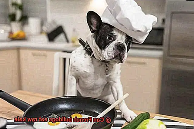 Can French bulldogs eat raw kale-4