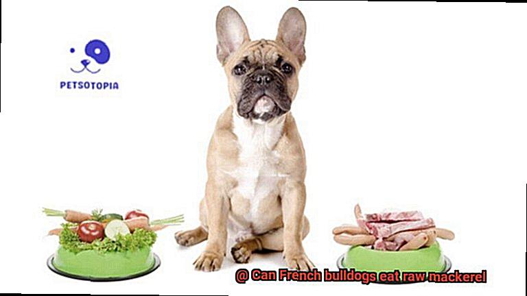 Can French bulldogs eat raw mackerel-2