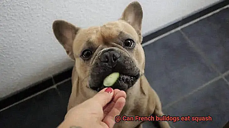 Can French bulldogs eat squash-3