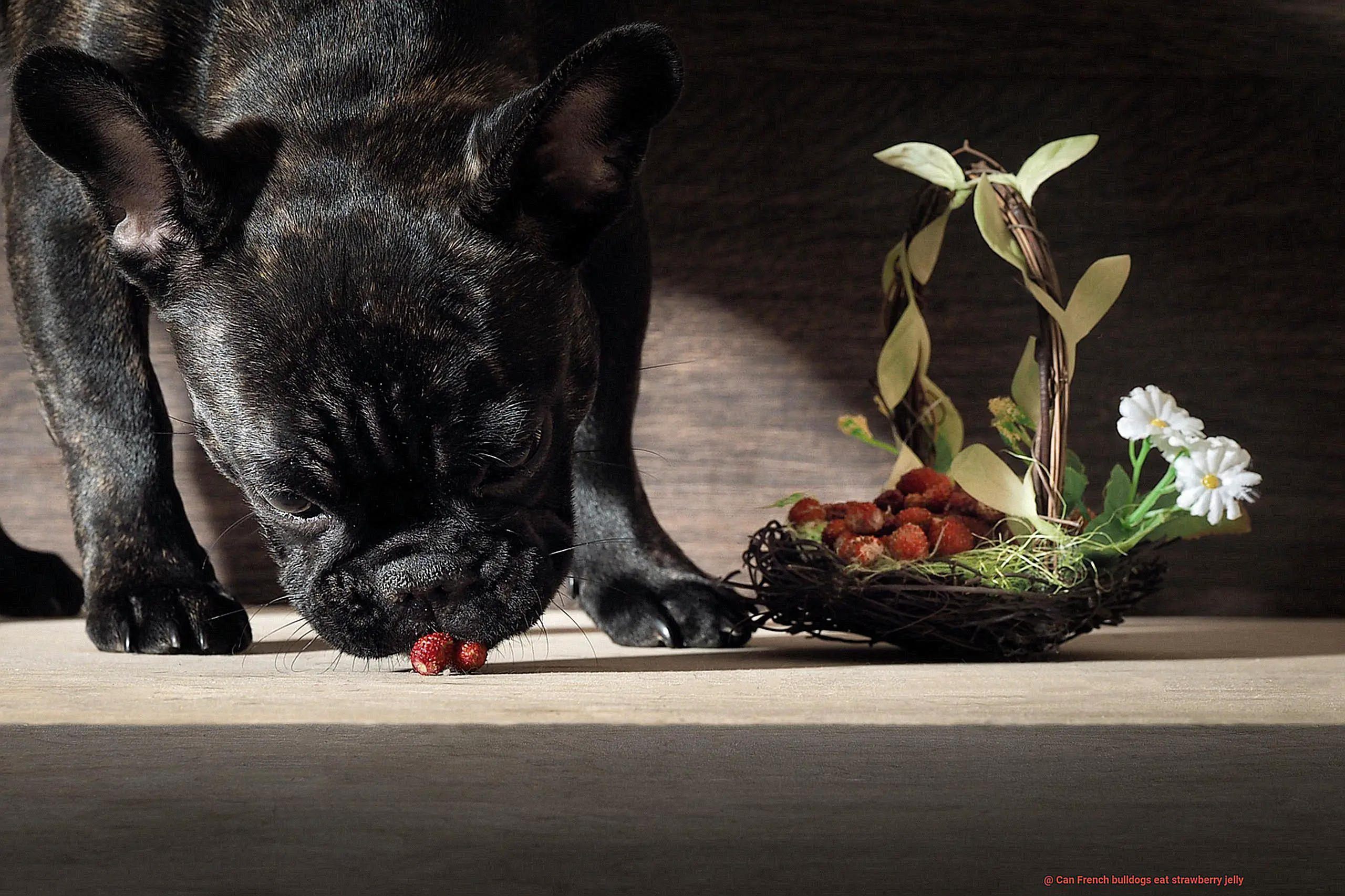 Can French bulldogs eat strawberry jelly-4