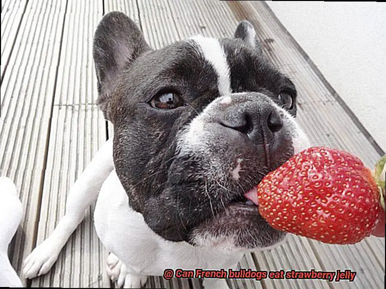 Can French bulldogs eat strawberry jelly-2