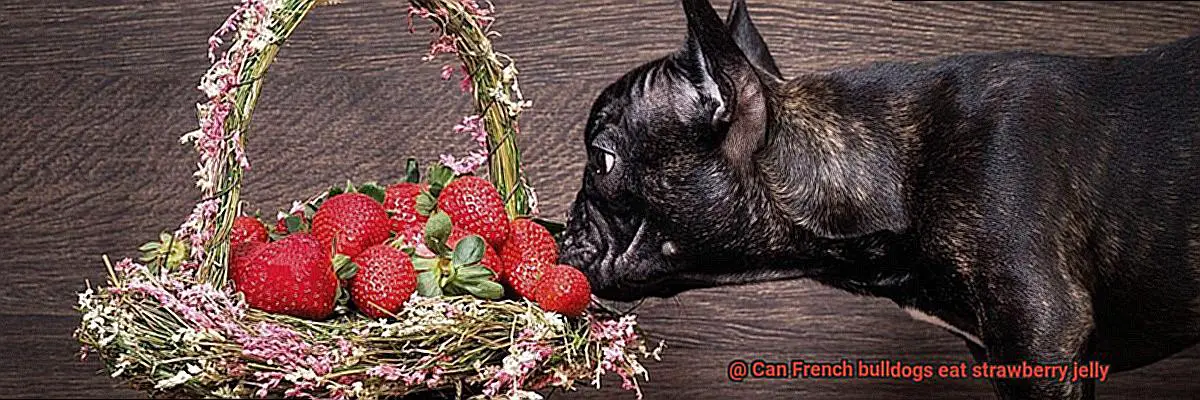 Can French bulldogs eat strawberry jelly-3