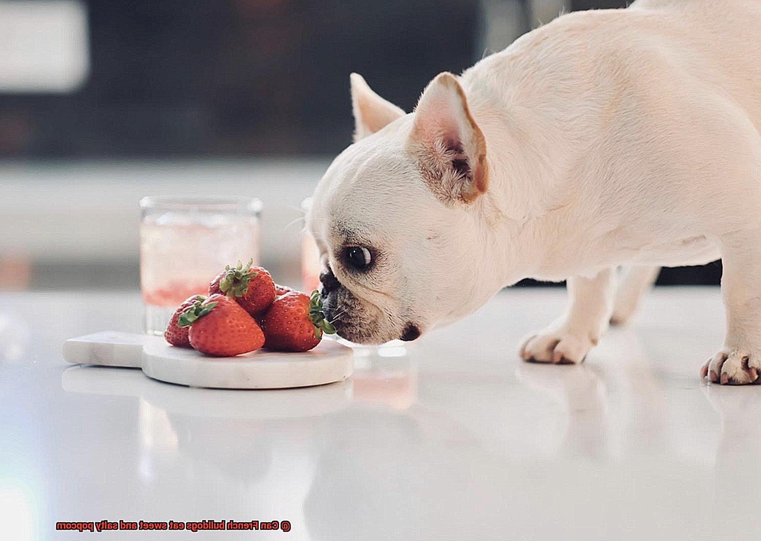 Can French bulldogs eat sweet and salty popcorn-3