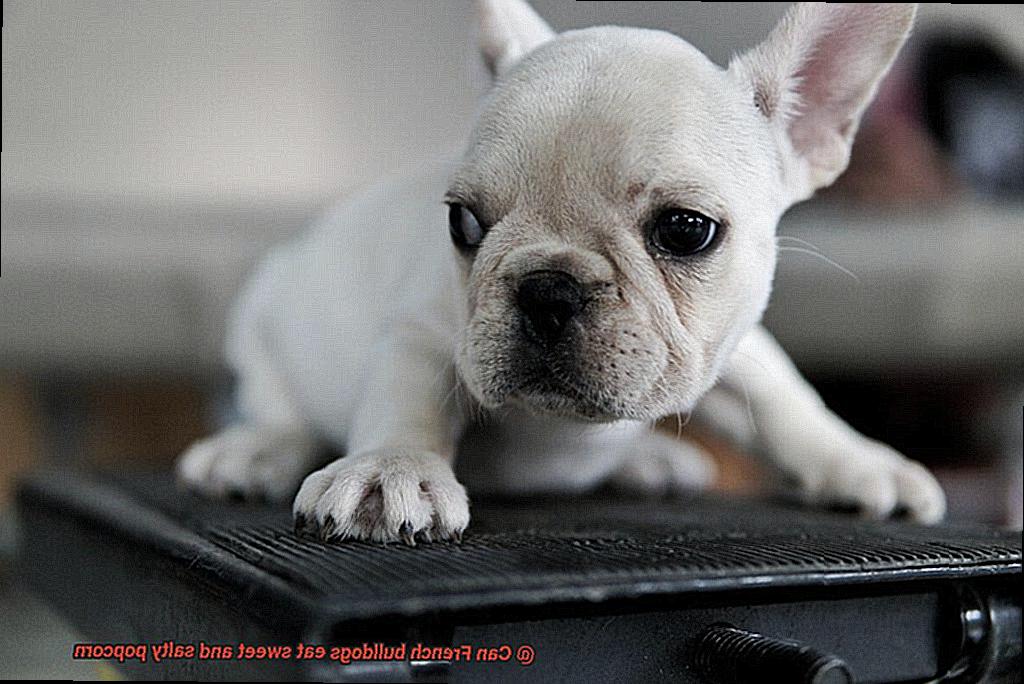 Can French bulldogs eat sweet and salty popcorn-4