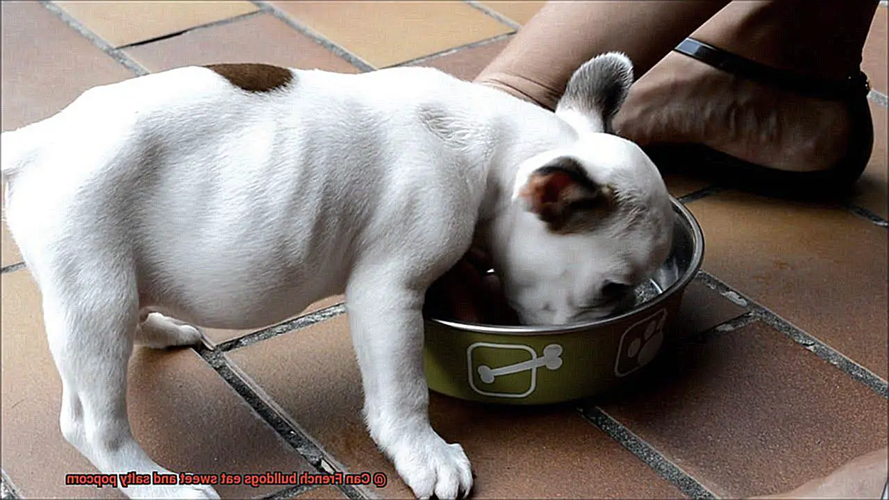 Can French bulldogs eat sweet and salty popcorn-2