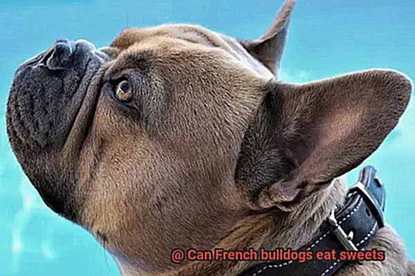 Can French bulldogs eat sweets-4