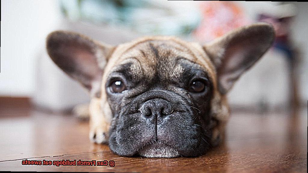 Can French bulldogs eat sweets-2