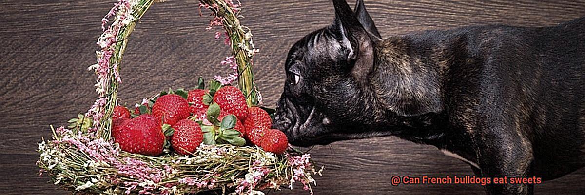 Can French bulldogs eat sweets-5