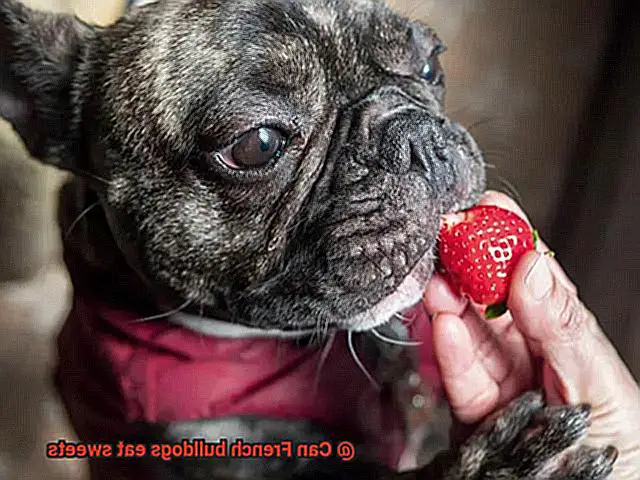 Can French bulldogs eat sweets-3