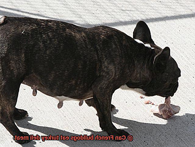 Can French bulldogs eat turkey deli meat-2