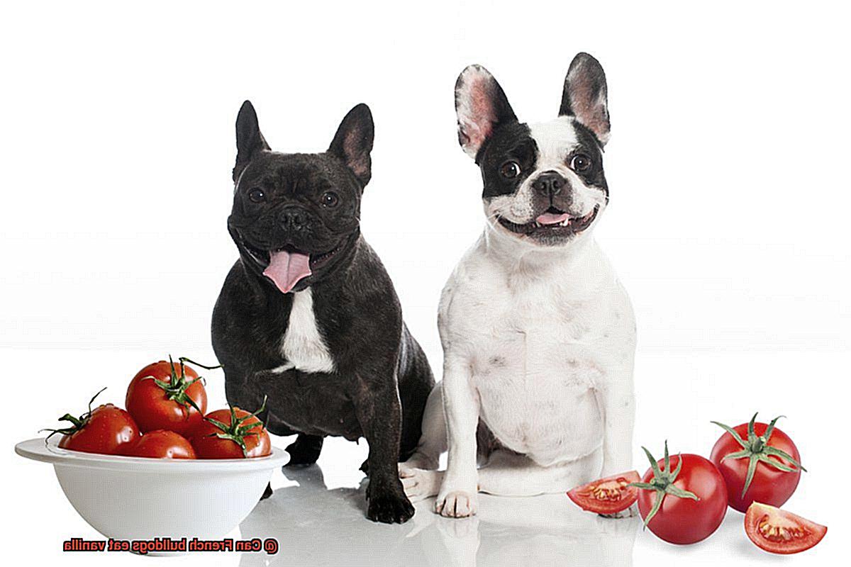 Can French bulldogs eat vanilla-6