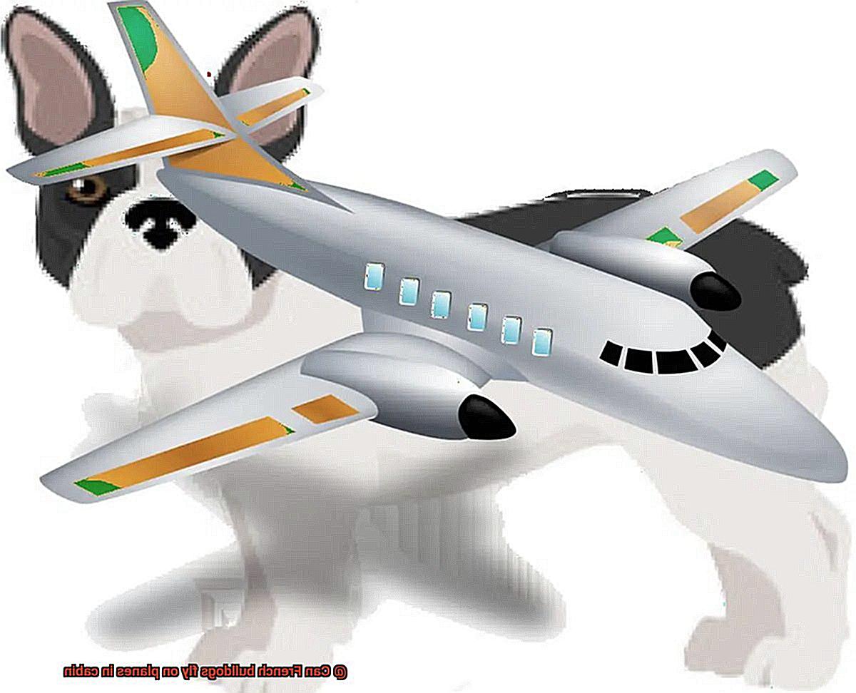 Can French bulldogs fly on planes in cabin-4
