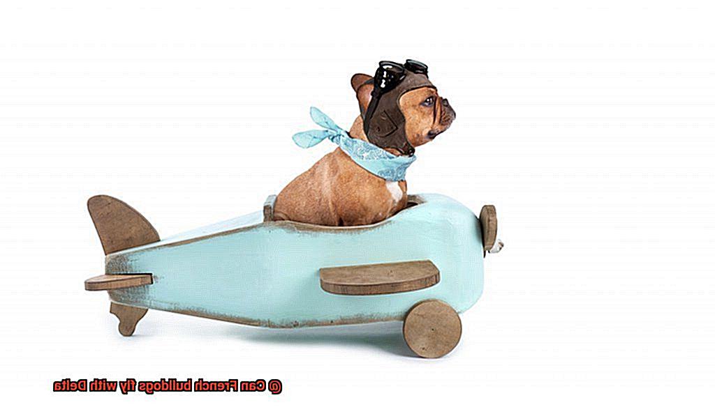 Can French bulldogs fly with Delta-5