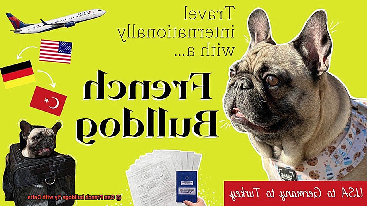 Can French bulldogs fly with Delta-2