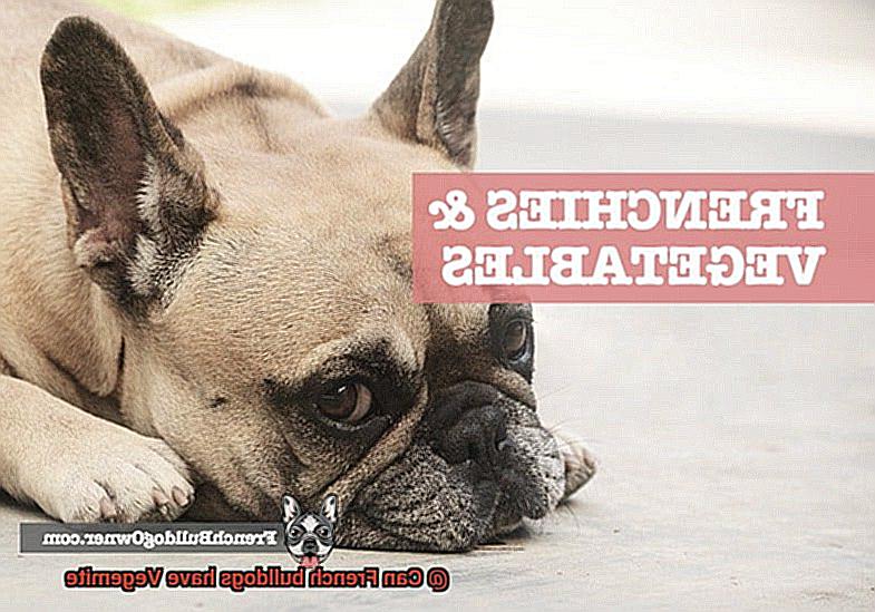 Can French bulldogs have Vegemite-6