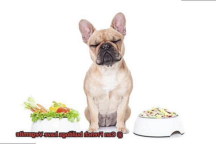 Can French bulldogs have Vegemite-4