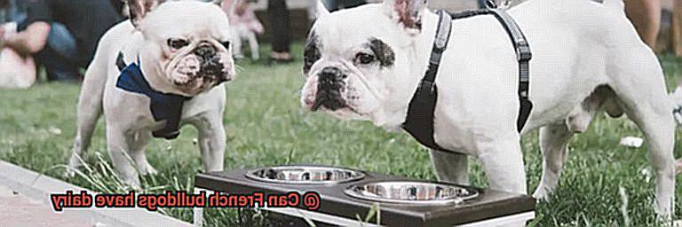 Can French bulldogs have dairy-2