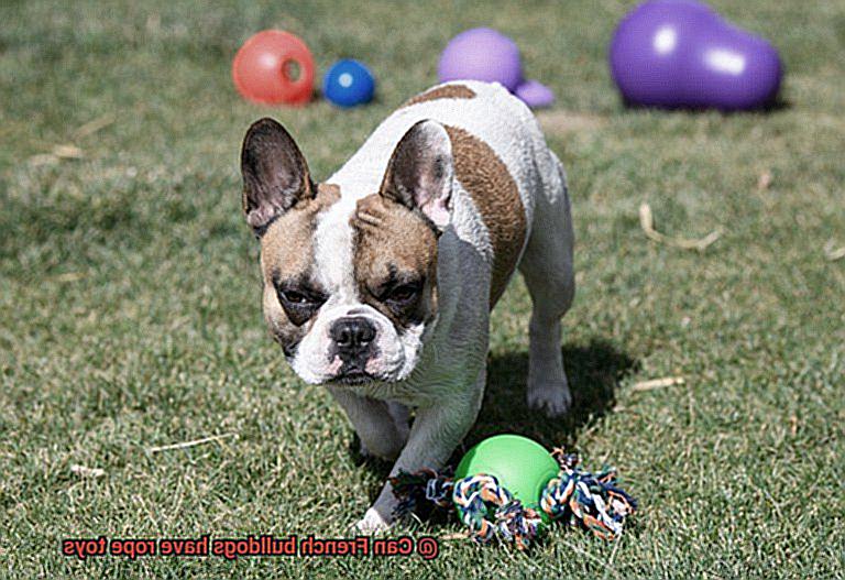 Can French bulldogs have rope toys-2