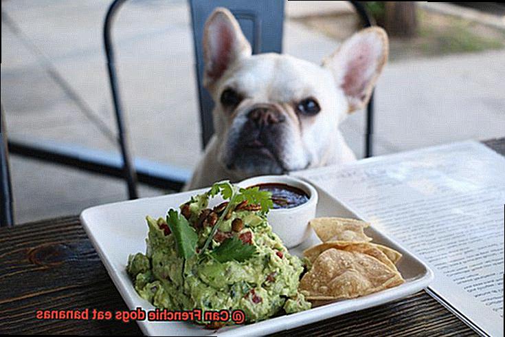 Can Frenchie dogs eat bananas-3