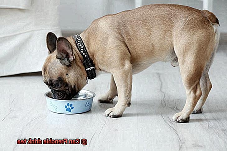 Can Frenchie drink tea-5