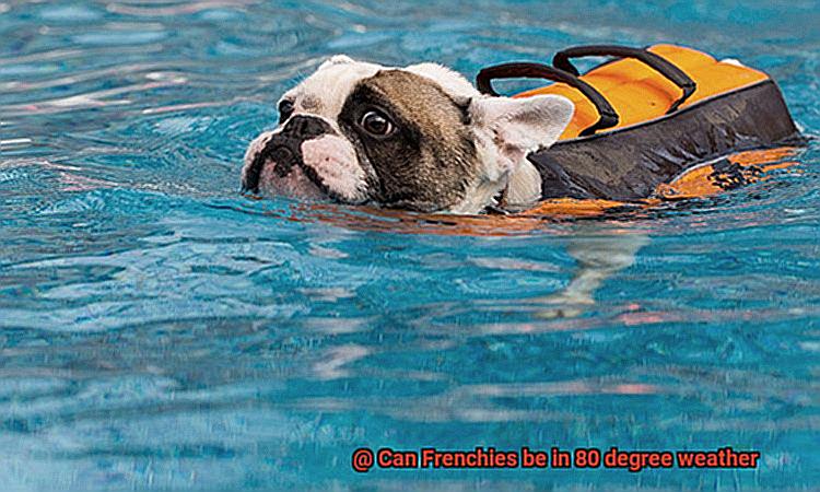 Can Frenchies be in 80 degree weather-3
