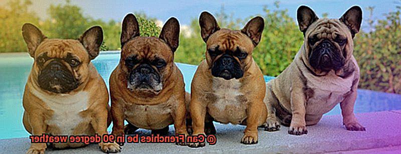 Can Frenchies be in 90 degree weather-2