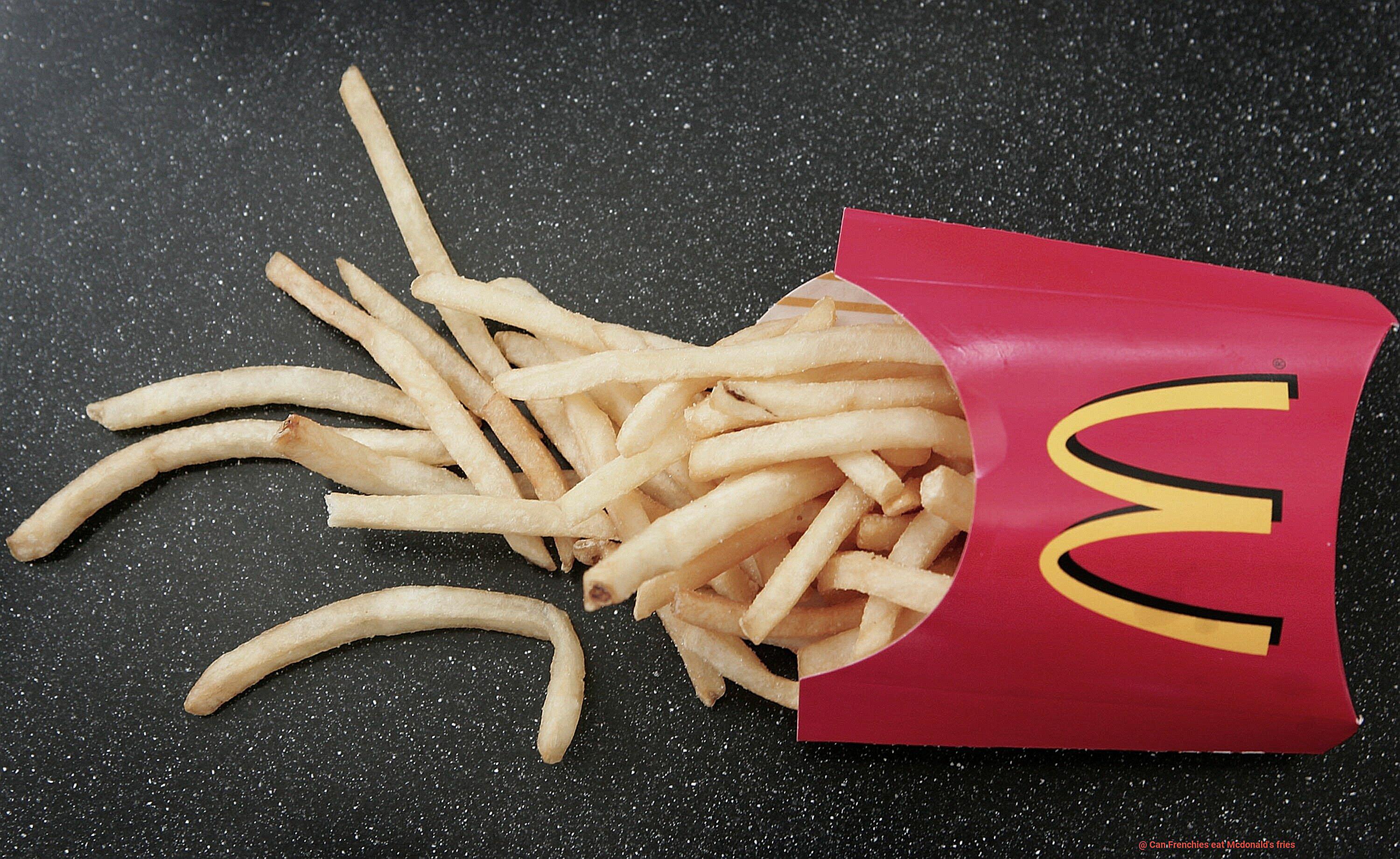 Can Frenchies eat Mcdonald's fries-4