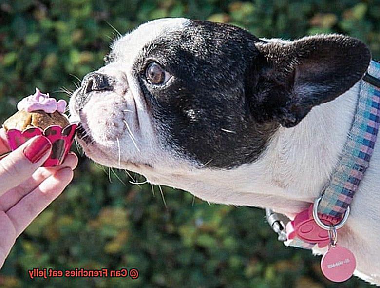 Can Frenchies eat jelly-5
