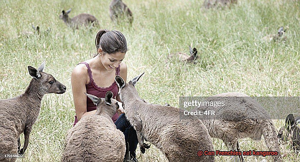 Can Frenchies eat kangaroo-5