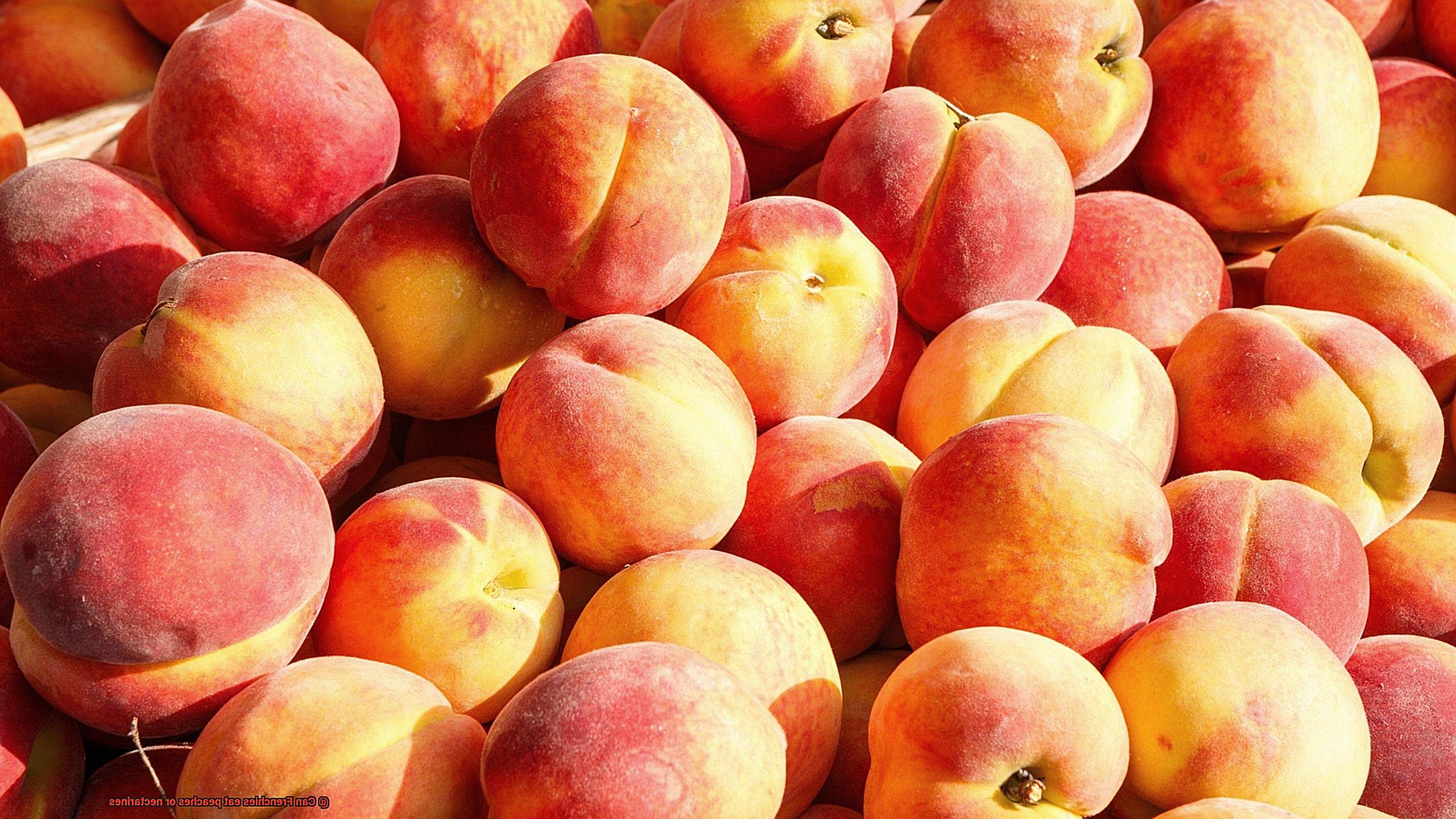 Can Frenchies eat peaches or nectarines-3