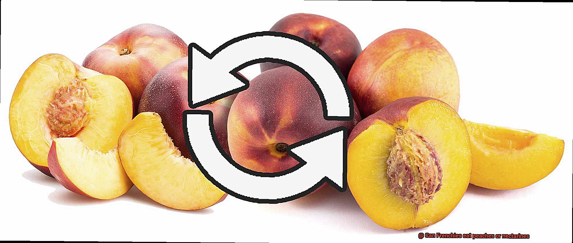 Can Frenchies eat peaches or nectarines-5