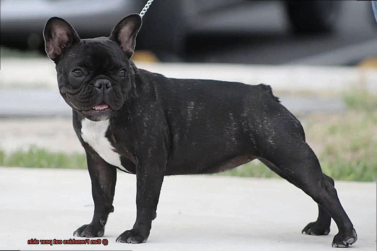 Can Frenchies eat pear skin-2
