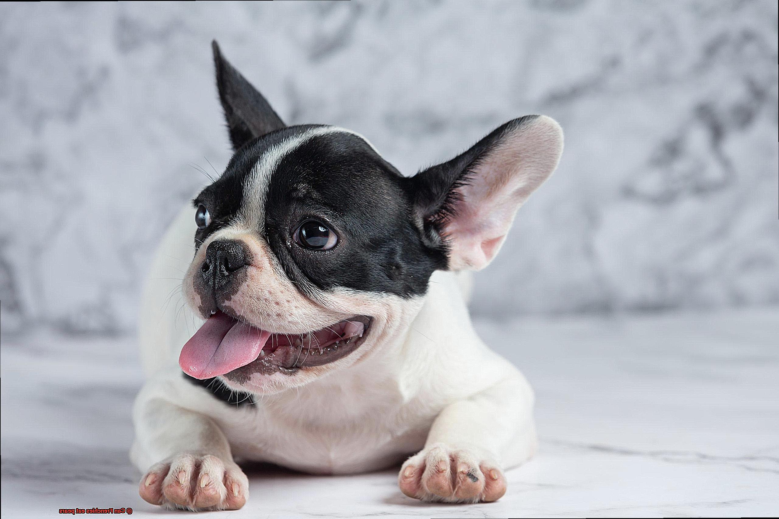Can Frenchies eat pears-3