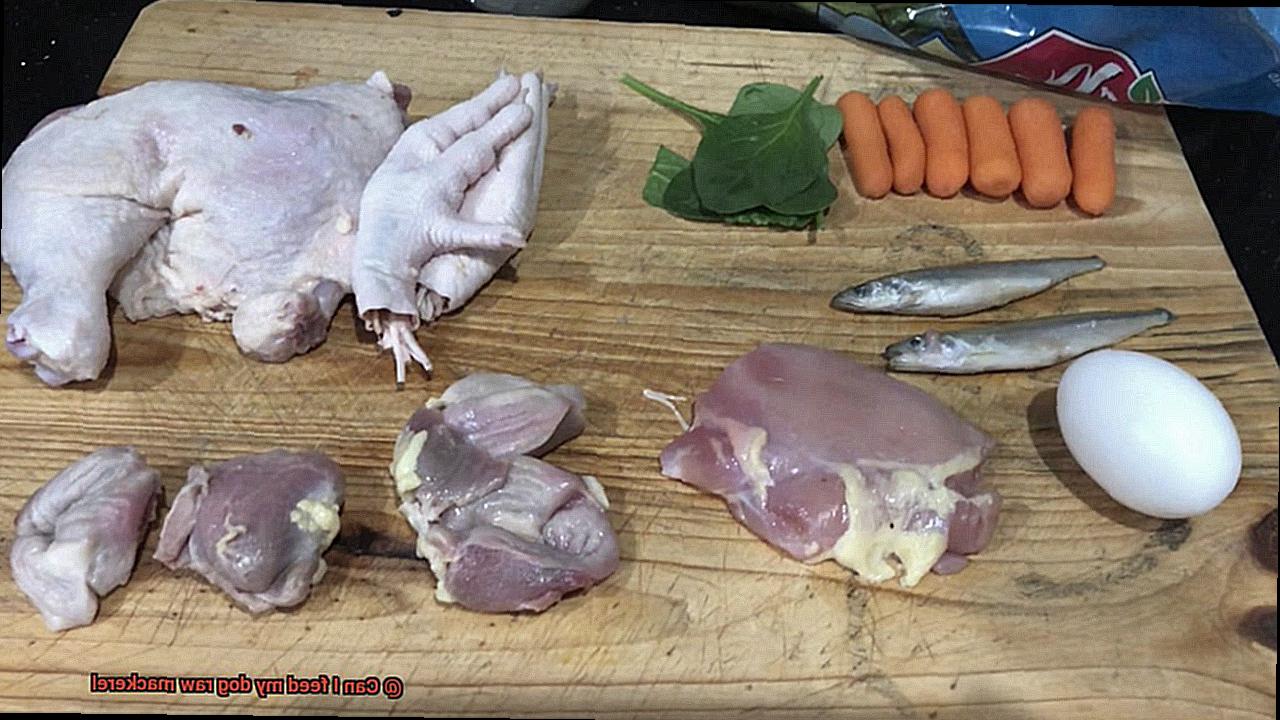 Can I feed my dog raw mackerel-3
