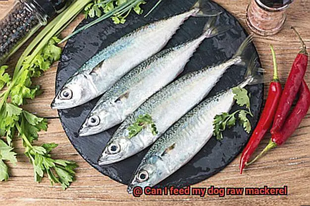Can I feed my dog raw mackerel-4
