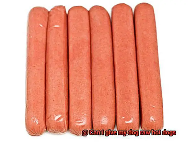 Can I give my dog raw hot dogs-2