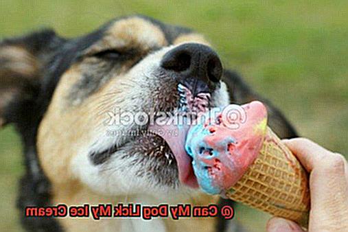 Can My Dog Lick My Ice Cream-4