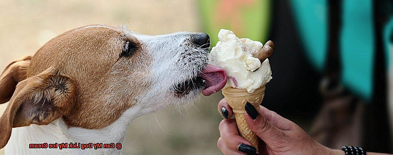 Can My Dog Lick My Ice Cream-5