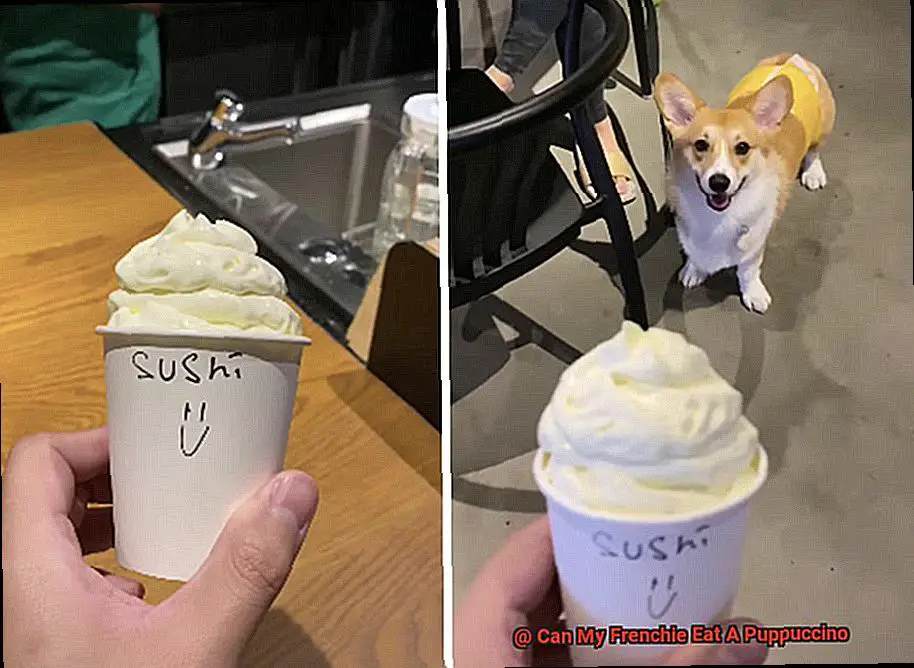Can My Frenchie Eat A Puppuccino-2