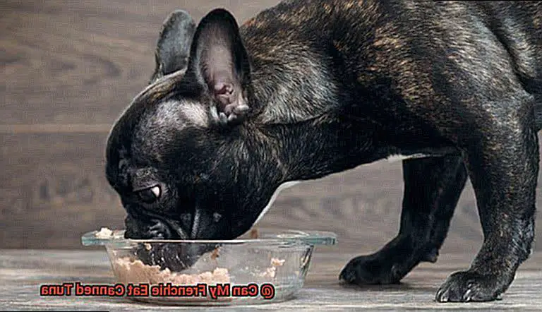 Can My Frenchie Eat Canned Tuna-3