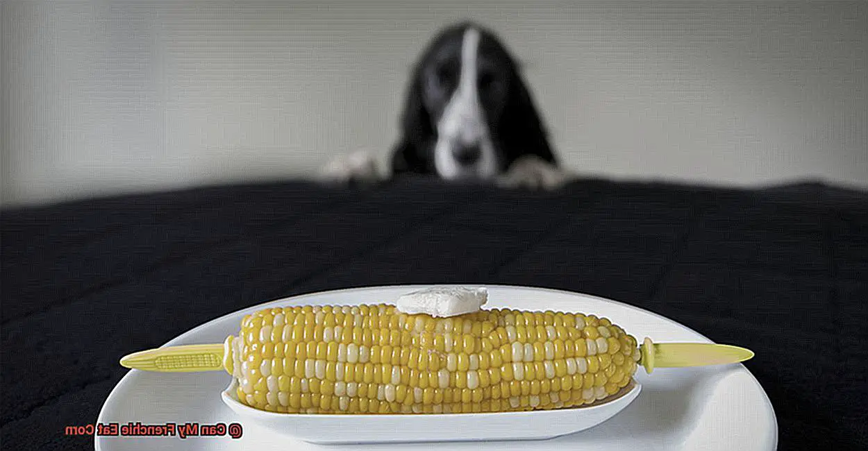 Can My Frenchie Eat Corn-5