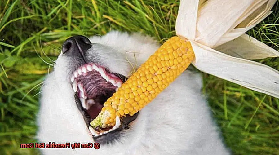 Can My Frenchie Eat Corn-6