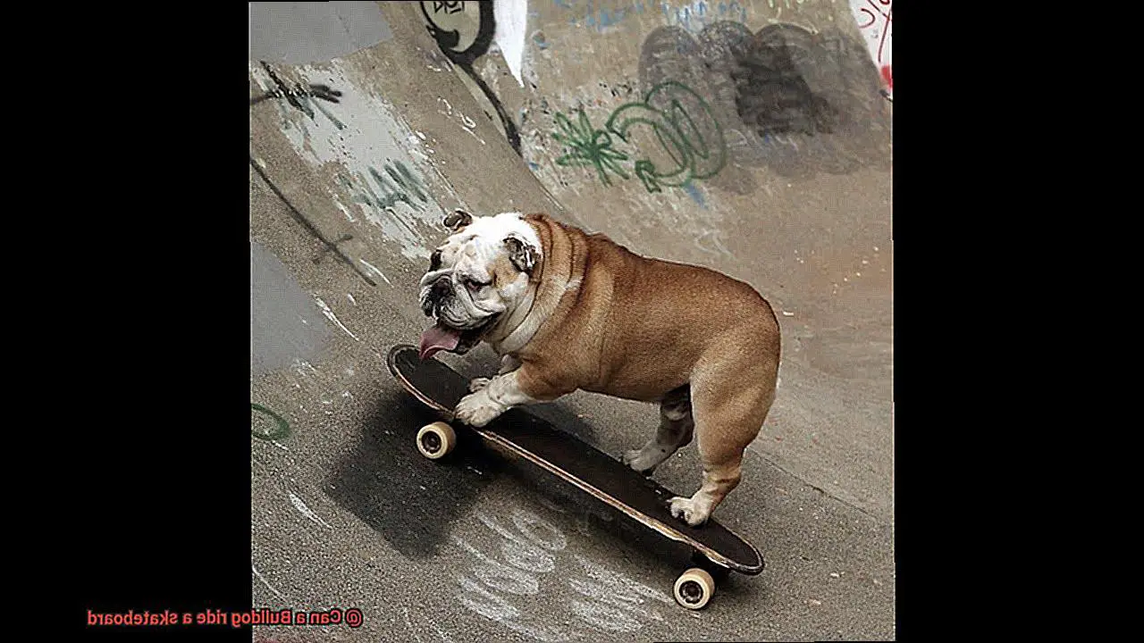 Can a Bulldog ride a skateboard-2