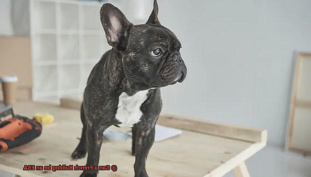 Can a French Bulldog be an ESA-2