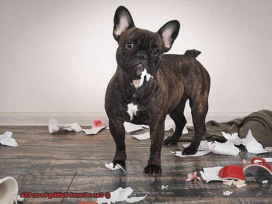 Can a French Bulldog be an ESA-6